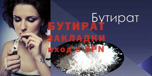 стаф Каменка
