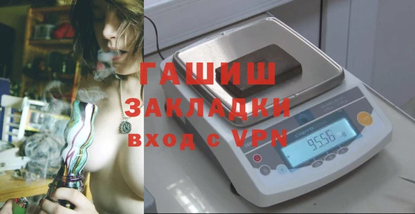 стаф Каменка