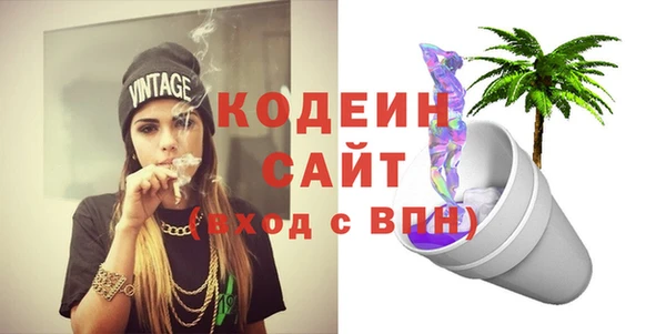 стаф Каменка