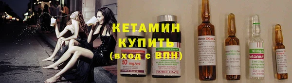 стаф Каменка