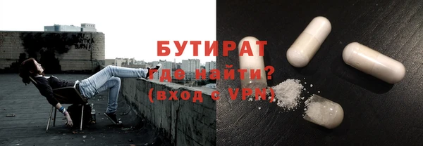 стаф Каменка