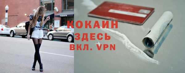 стаф Каменка