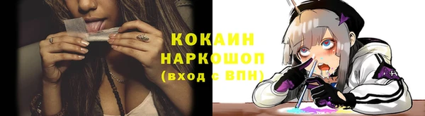 стаф Каменка