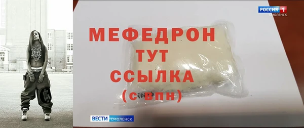 стаф Каменка