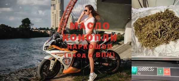 стаф Каменка