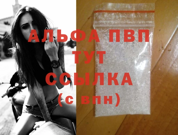 стаф Каменка