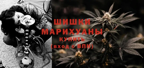стаф Каменка