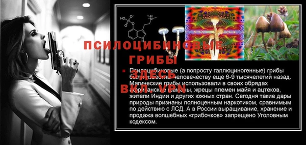 соль курить ск Каменногорск