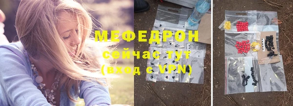 стаф Каменка