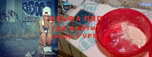 стаф Каменка